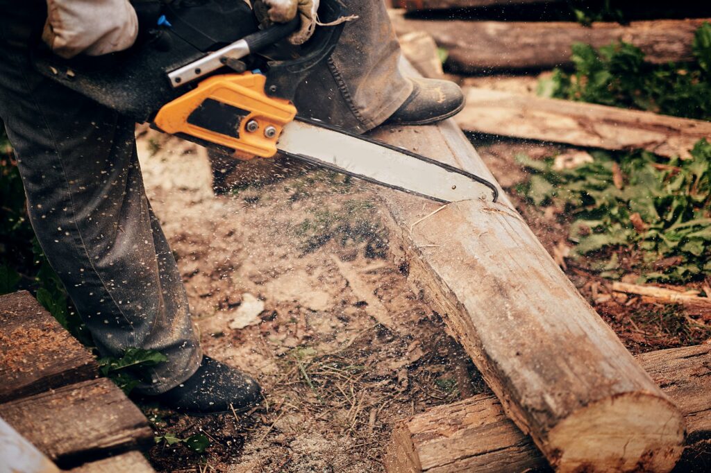 Man cut with saw. Dust and movements. Woodcutter saws tree with chainsaw on sawmill. lumberjack